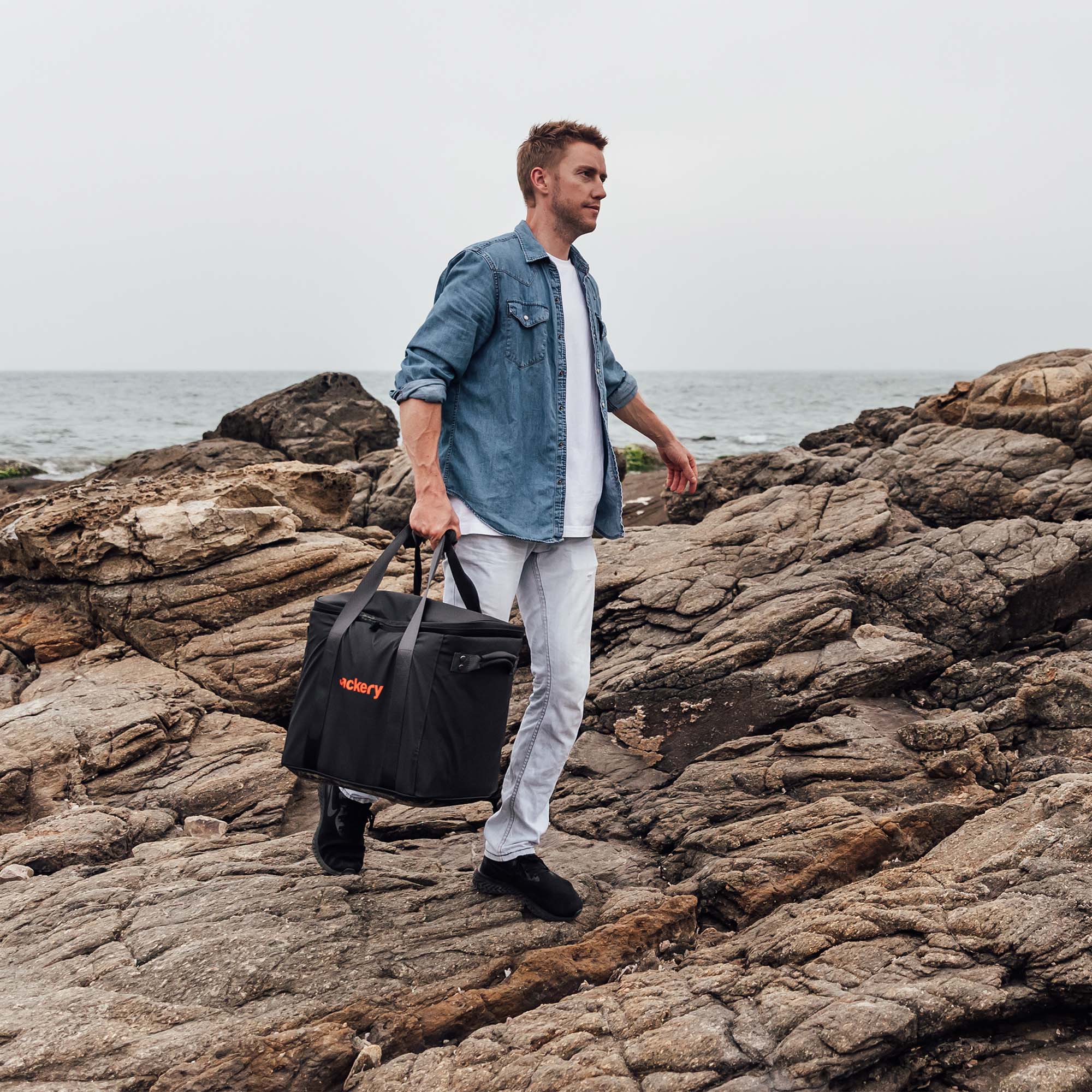 Jackery Carrying Case for Explorer 2000 Pro/1500 Pro/1500/1000 Plus (L) - Image 3